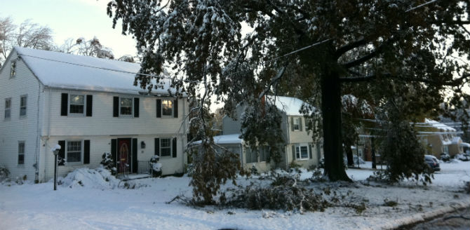 large tree limb hanging on our power line