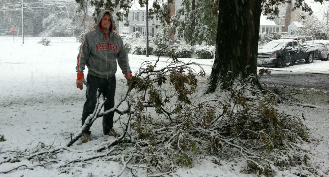 the first large tree limb to fall