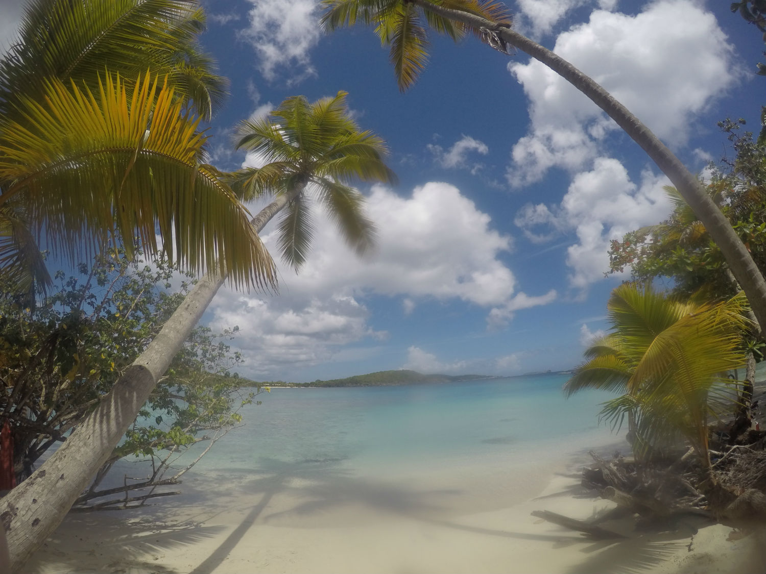 Opening to Oppenheimer Beach