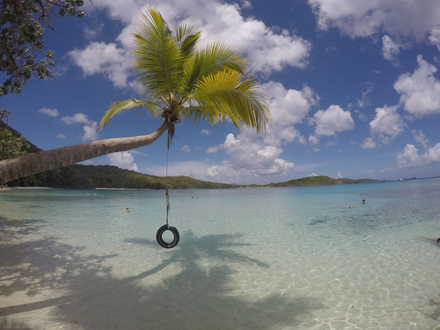 Tire swing at Oppenheimer Beach