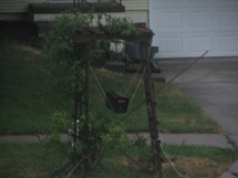 mailbox fell down storm